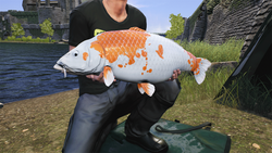 Euro Fishing: Ultimate Edition (для ПК, цифровой код доступа)