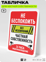 Табличка для частной территории "Не беспокоить, частная собственность", на дом, для участка, организаций, предупреждающая, 40х30 см, Silver Plane x Айдентика Технолоджи