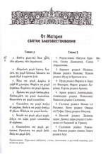 Святое Евангелие на церковнославянском языке с параллельным переводом на русский язык