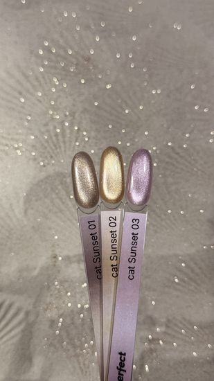 Sunset cat 02 color gel Iperfect 10g