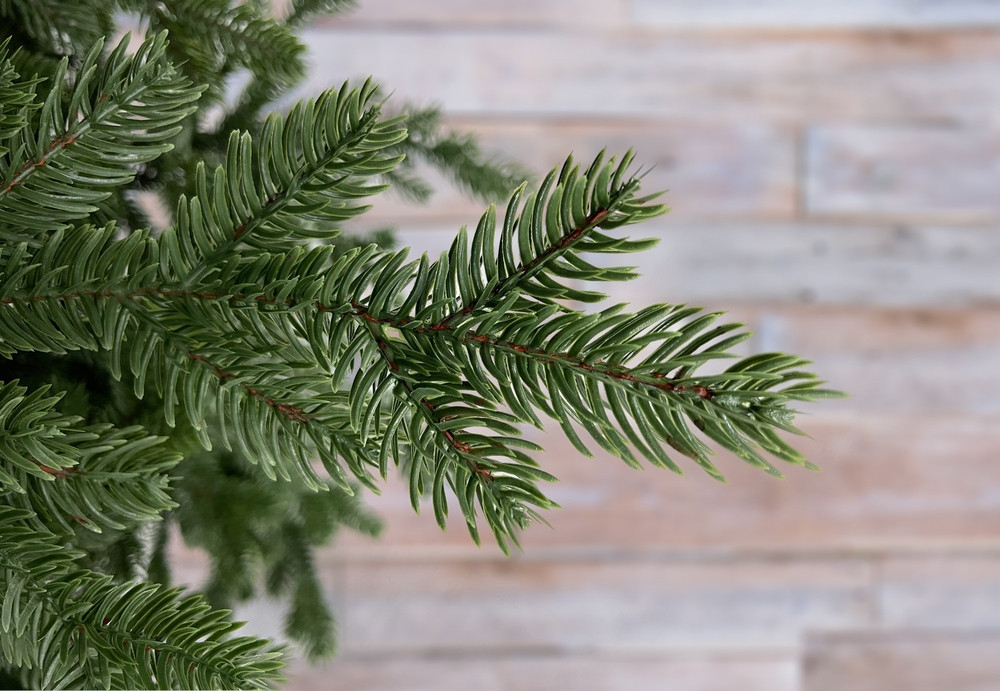 Ель Дуглас 100% литая 185см зеленая Black Box