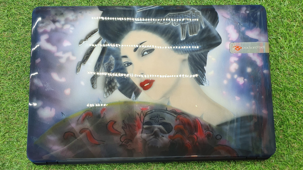 Ноутбук Packard bell