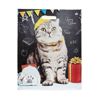 Пакет ВУР 38*48см /50мк Грэй Глосс Ученый кот 1 шт