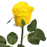 Цветок искусственный «Natur» 50см Розочка желтая