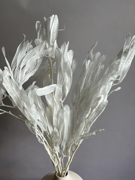 Акация гледичия