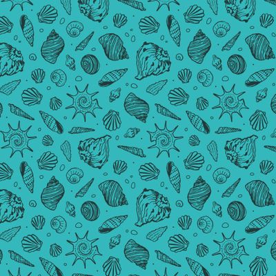 Темные ракушки на бирюзовом фоне
