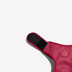 Шлейка Air Mesh BORDEAU Zee.Dog