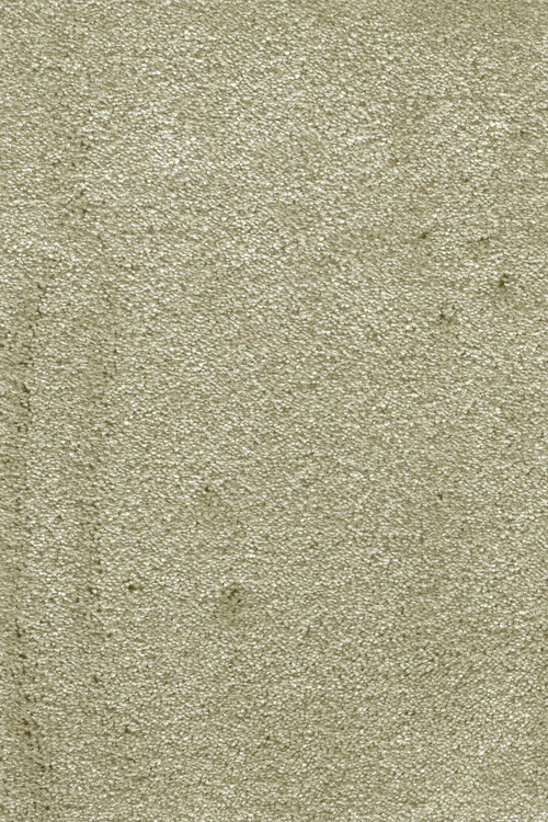 Ковровое покрытие AW Leda 29