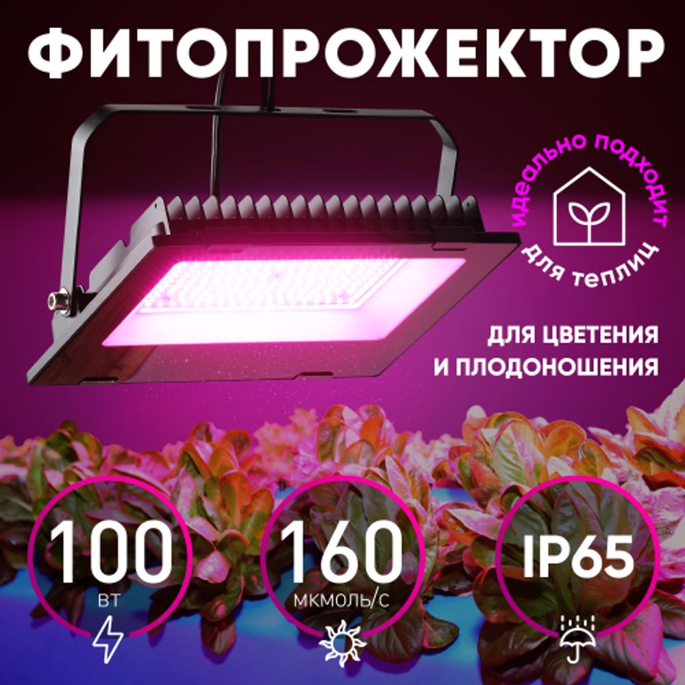 Фитопрожектор для растений светодиодный ЭРА FITO-100W-RB-LED для цветения и плодоношения красно-синего спектра 100 Вт