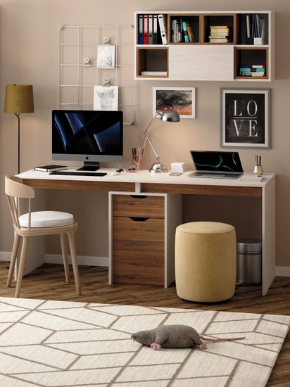 анкор белый / дуб аризона