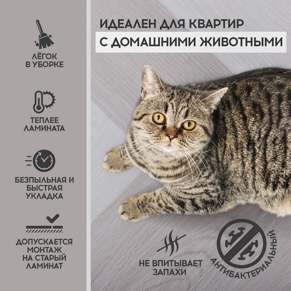 SPC ламинат I-Floors Herringbone - Дуб Маньяра