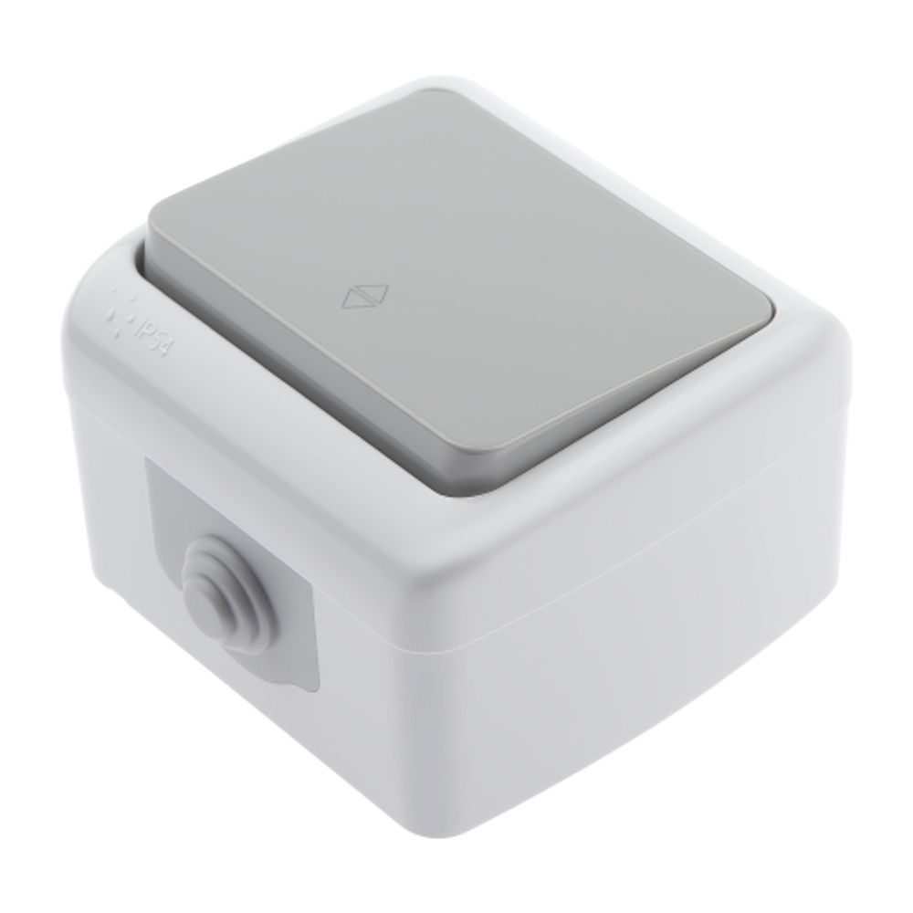 Переключатель Intro Atlantic 5-103-03 10А-250В, IP54, открытой установки, серый | Intro