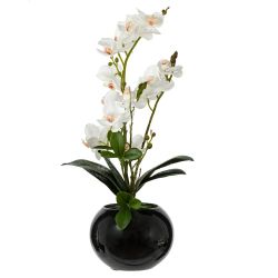 GAEM Цветочная композиция "Орхидея", L22 W22 H47 см