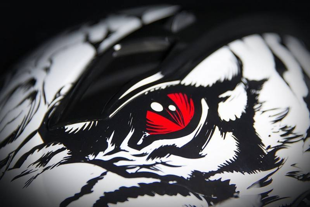 Мотошлем Icon Alliance Berserk