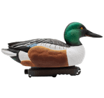 Широконос "FA-212530 LIVE NORTHERN SHOVELER SPOONBILL" FA 6 шт.