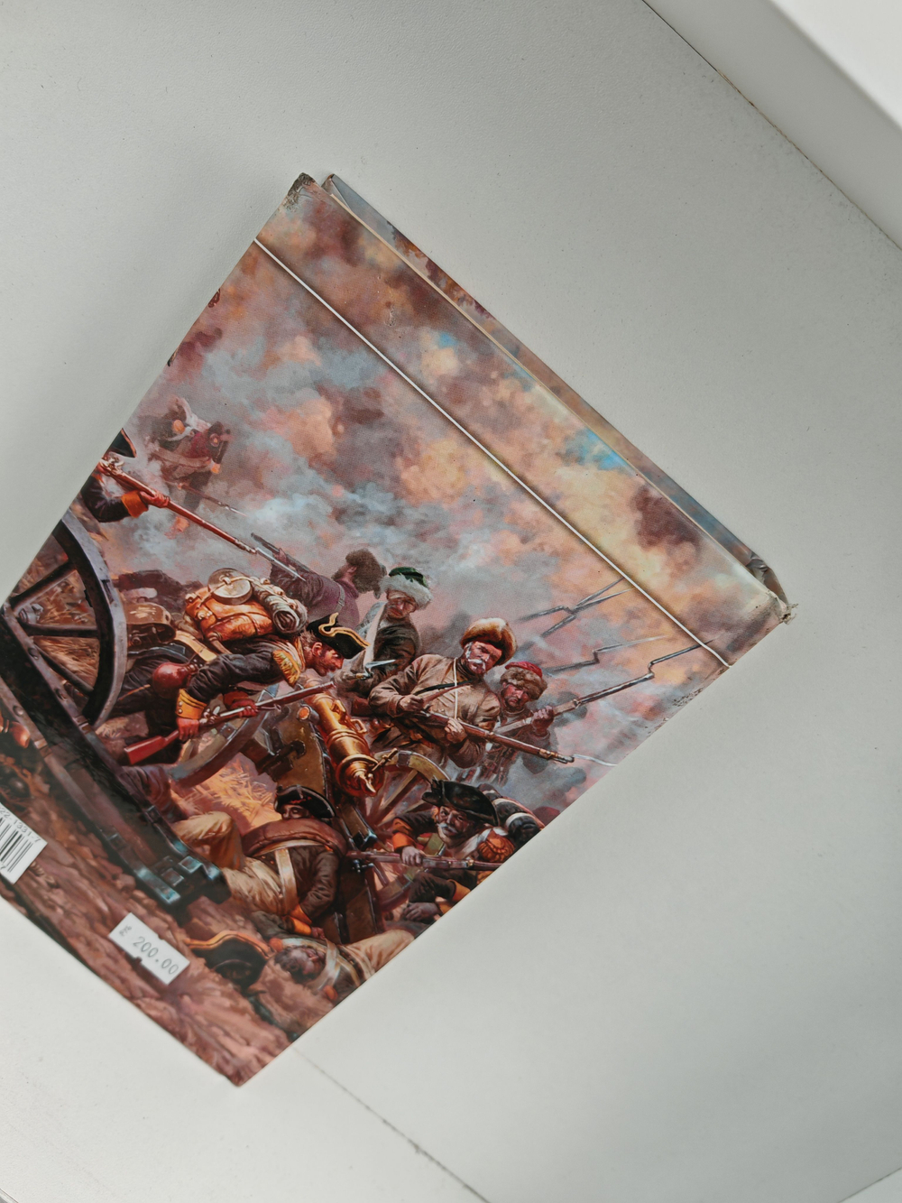 Вепрь. Феникс