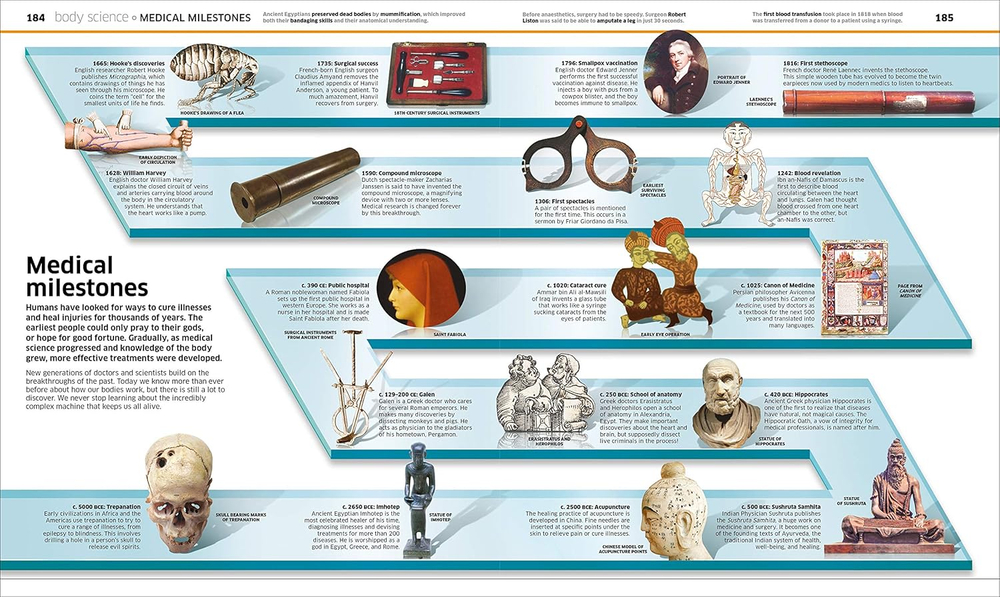 Knowledge Encyclopedia: Human Body!