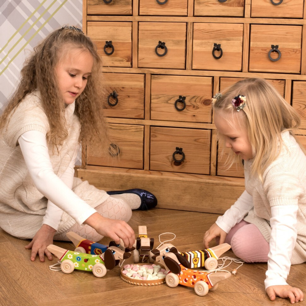 Деревянная каталка Таксик Леснушки