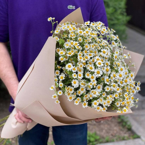 Букет из ромашек "Chamafield"