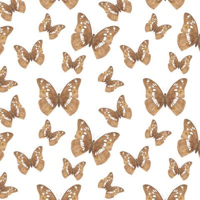 Бабочки акварель