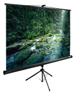 Экран  Cactus CS-PSTE-220X165-BK