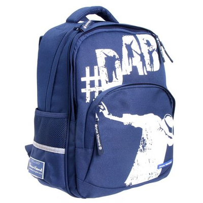 Рюкзак школьный Bruno Visconti, 40 х 30 х 16 см, эргономичная спинка, DAB, синий