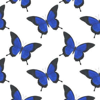 Бабочки акварель