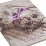 Дневник 5-11 класс 48 л., твердый, BRAUBERG, глянцевая ламинация, с подсказом, "Котик", 107188
