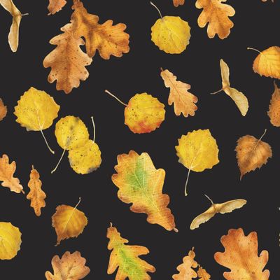 Осенние листья на черном 2