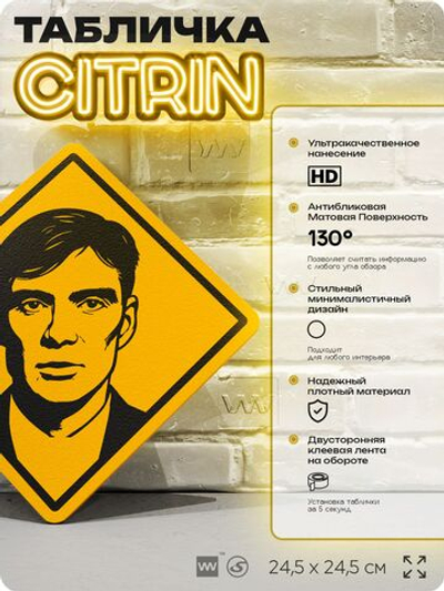 Табличка декоративная "Киллиан Мерфи" на дверь и стену, прикольная штука в подарок, декоративный знак для комнаты, офиса, 24,5х24,5 см, пластиковая, Айдентика Технолоджи