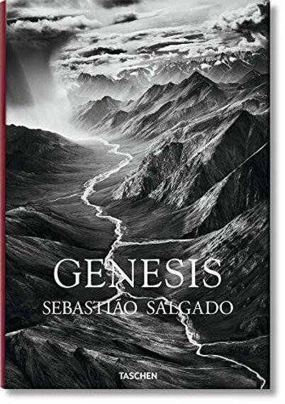 Salgado, Genesis