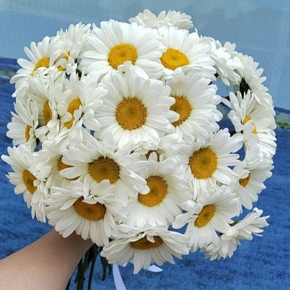 Букет из 25 Ромашек