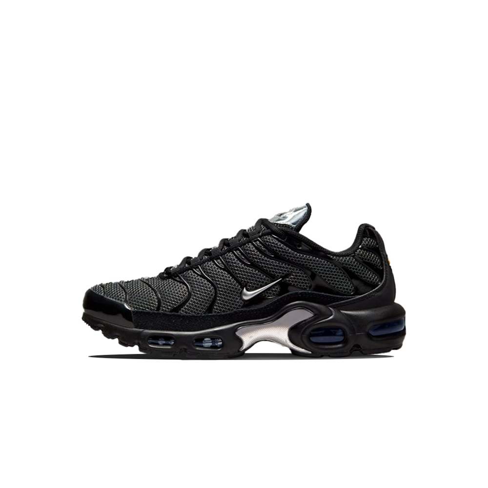 Nike Air Max Plus WMNS "Black Silver"