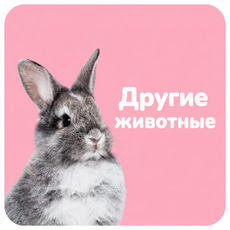 Другие питомцы