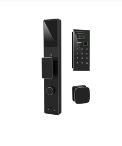 Электронные дверные замки