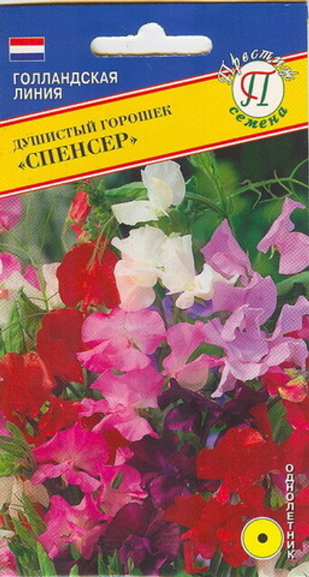 Душистый горошек Спенсер Престиж