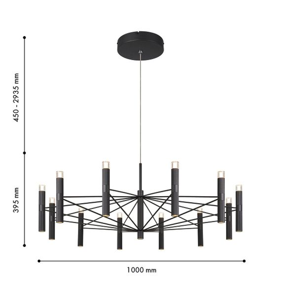 Подвесная светодиодная люстра Favourite Blick 4758-12P