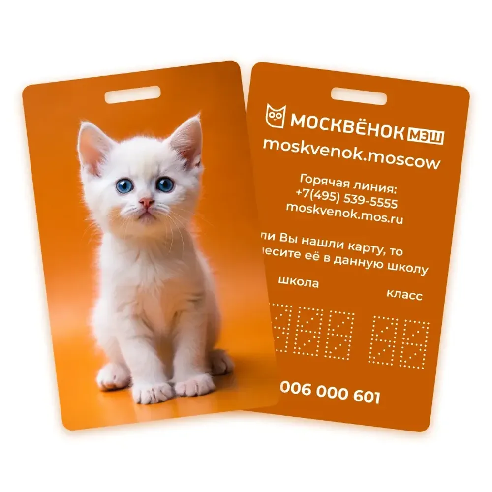 Карта Москвёнок CATS №10 (проход + питание)