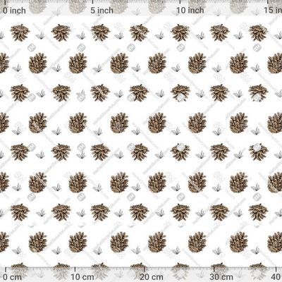 Сосновые шишки на белом фоне by tata_kutischeva 750 DPI