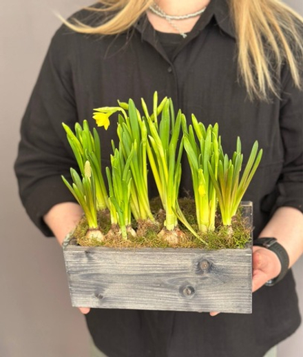 Hot garden offer #11р