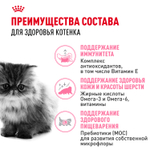 Royal Canin Persian Kitten Персиан Киттен Корм сухой для котят персидской породы до 12 месяцев 10кг