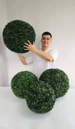 Шар самшит 52 см мелколистный