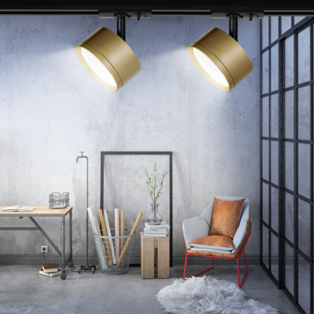 Трековый светильник однофазный ЭРА TR48 - GX53 MG под лампу GX53 матовое золото