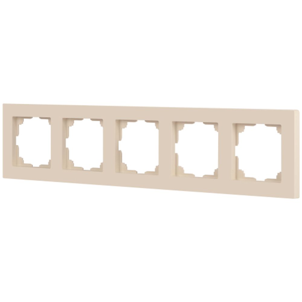 Рамка для розеток и выключателей Intro Accent 6-505-02 на 5 постов, СУ, сл.кость | Intro