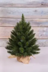 Елка Лесная Красавица в мешочке 60 см., леска, Triumph Tree (73668)