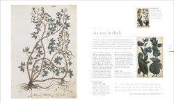 The Science of Plants: Inside their Secret World