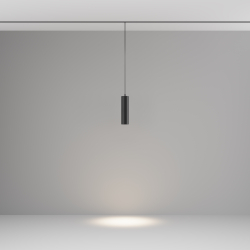 Трековый подвесной светильник Technical TR041-2-12W4K-B