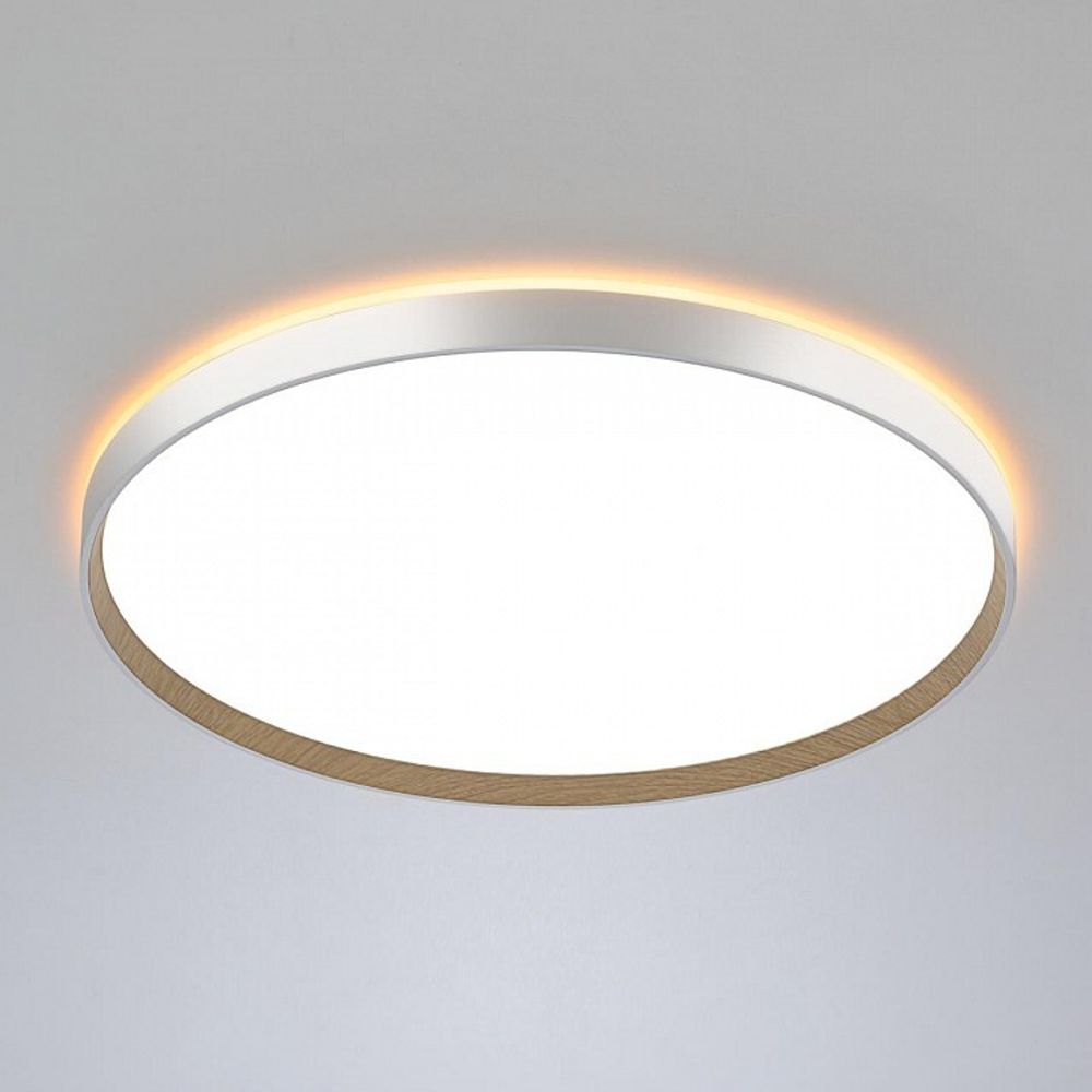 Накладной светильник Citilux ETALON CL750500R