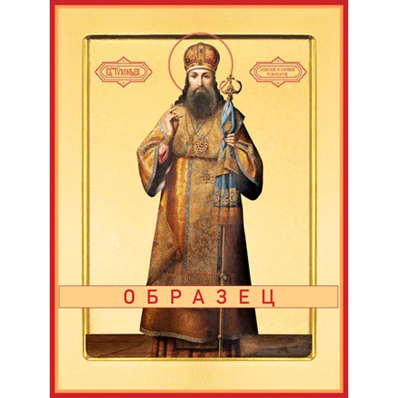 Святитель Тихон Задонский Свт-45