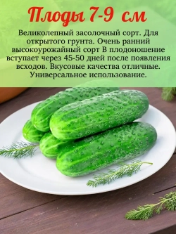 Семена Огурец Засолочный Раннеспелый 2гр